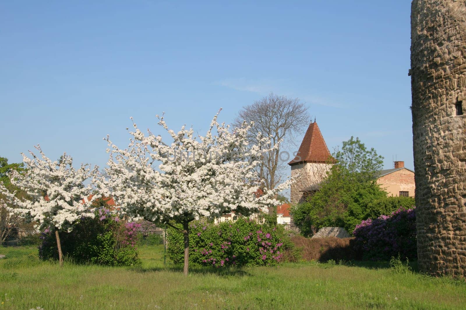 City wall in Staßfurt