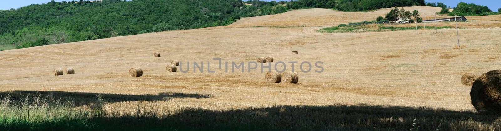 overview of a corn field after harvest with bales of hay