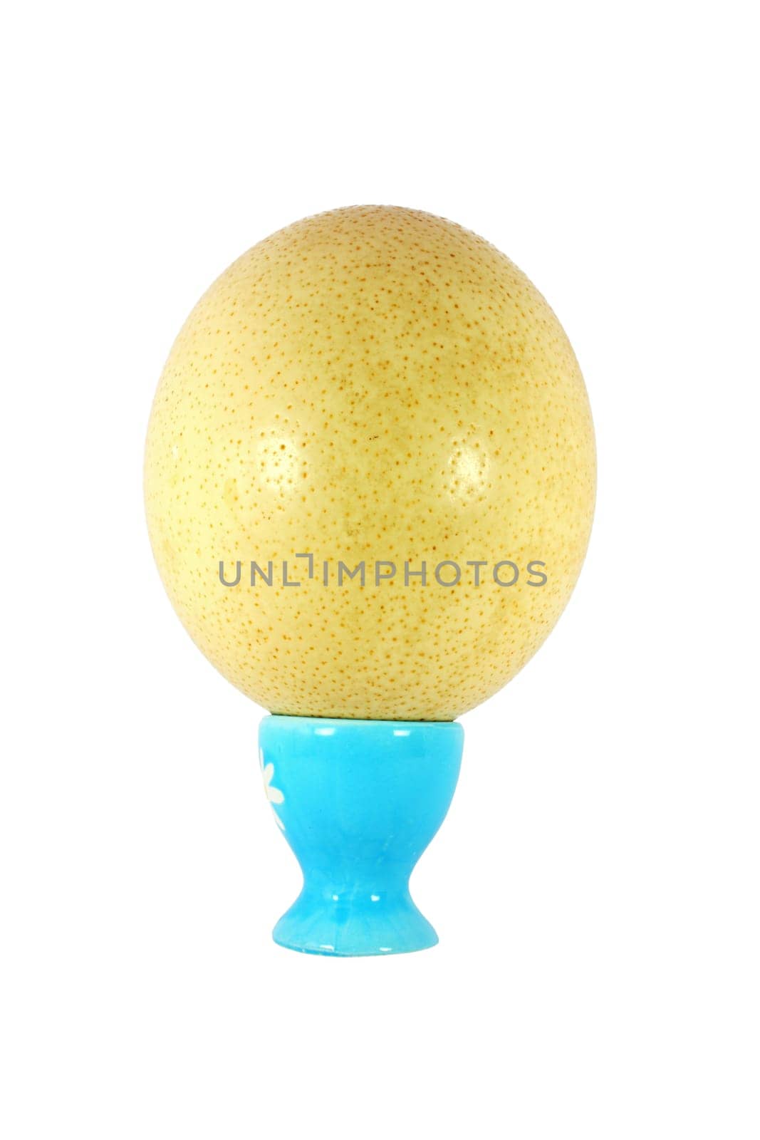 Ostrich egg for breakfast isolated on white