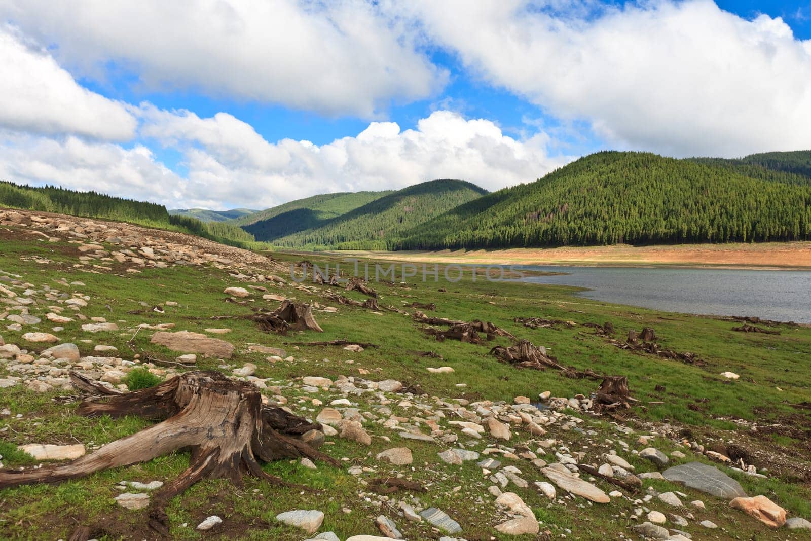landscape with trees cut near a mountain lake