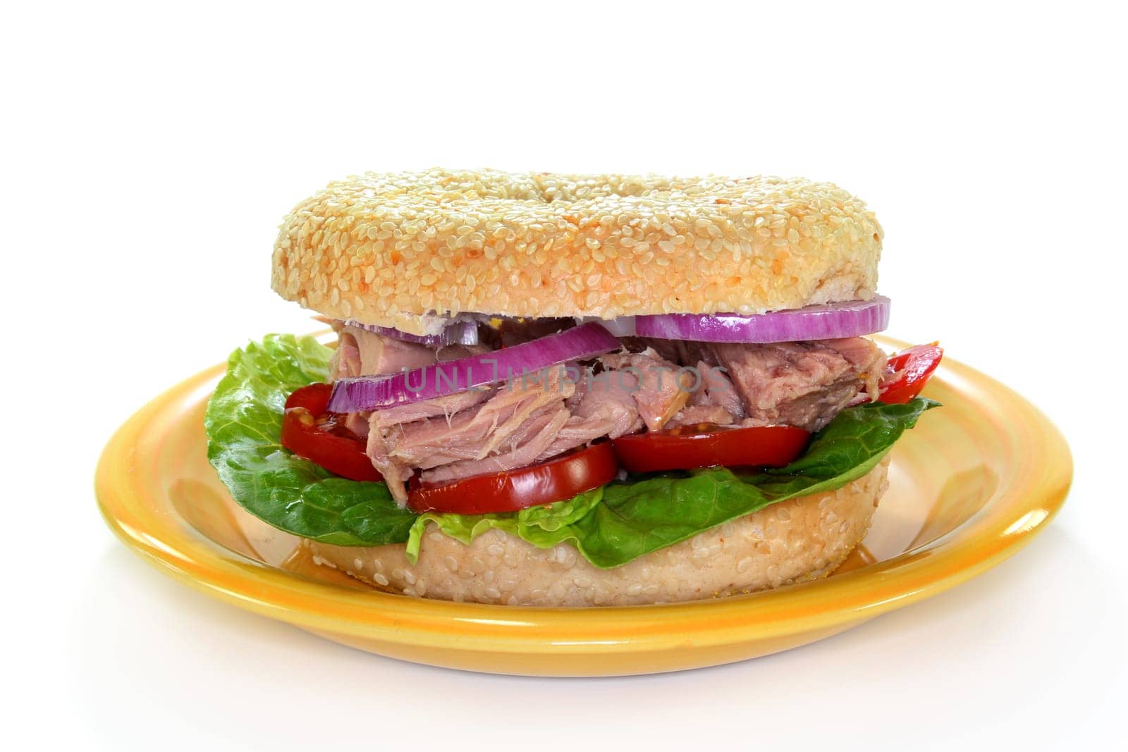 a bagel topped with tuna,onion and tomato