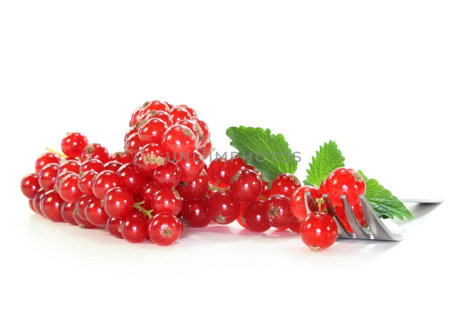 Red currants against white background