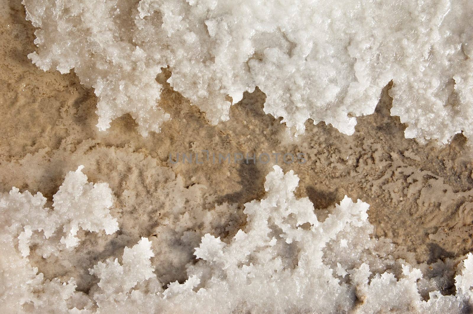 Crystallized salt in an evaporation pond, Algarve, Portugal