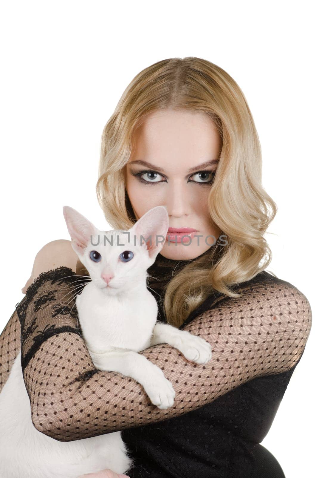 beauty young blond woman with oriental shorthair cat on a white