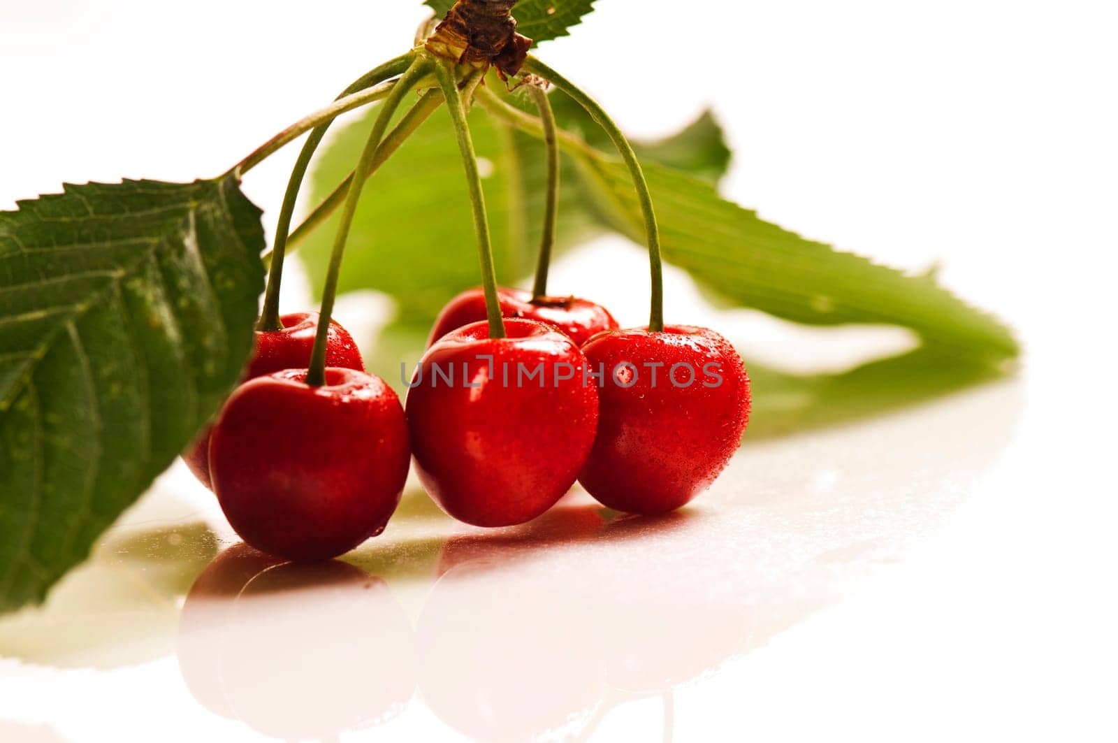 Fresh cherries against white background