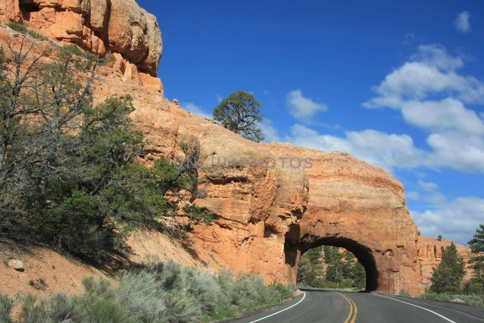 Roads and trails in Red Canyon