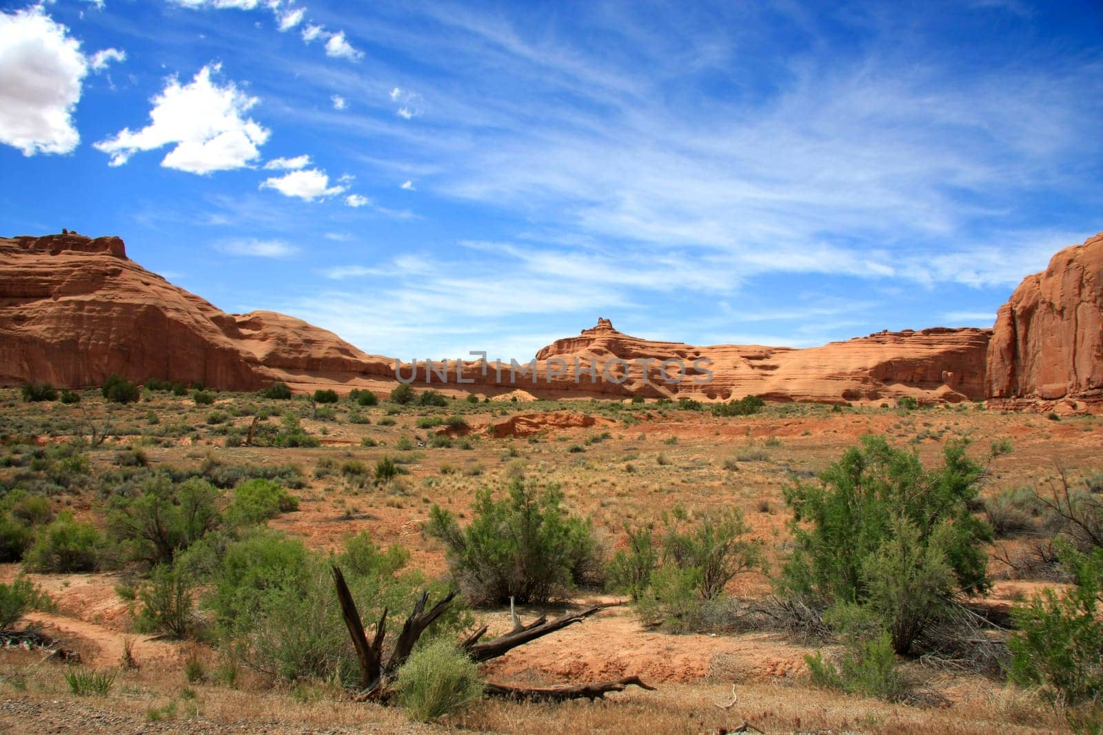 Landscape with mountain range in Arches National Park,Utah