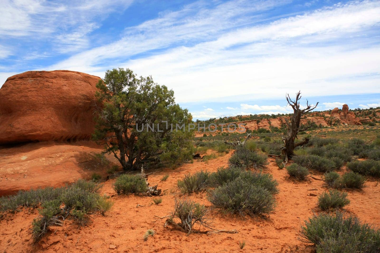 Rock formations and arches in Arches National Park,Utah