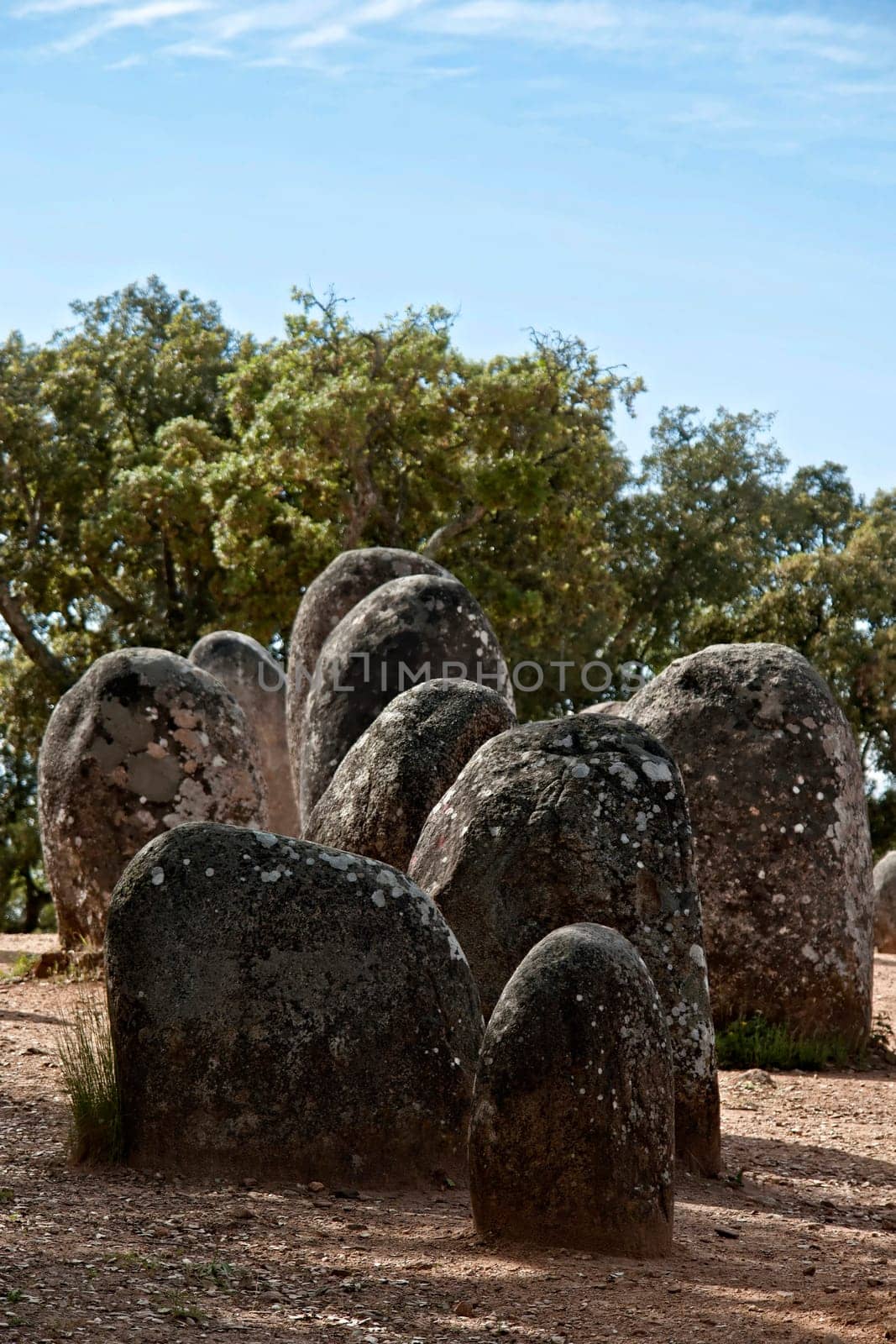 Menhirs in megalithic monument of Cromelech dos Almendres - Evora -Portugal