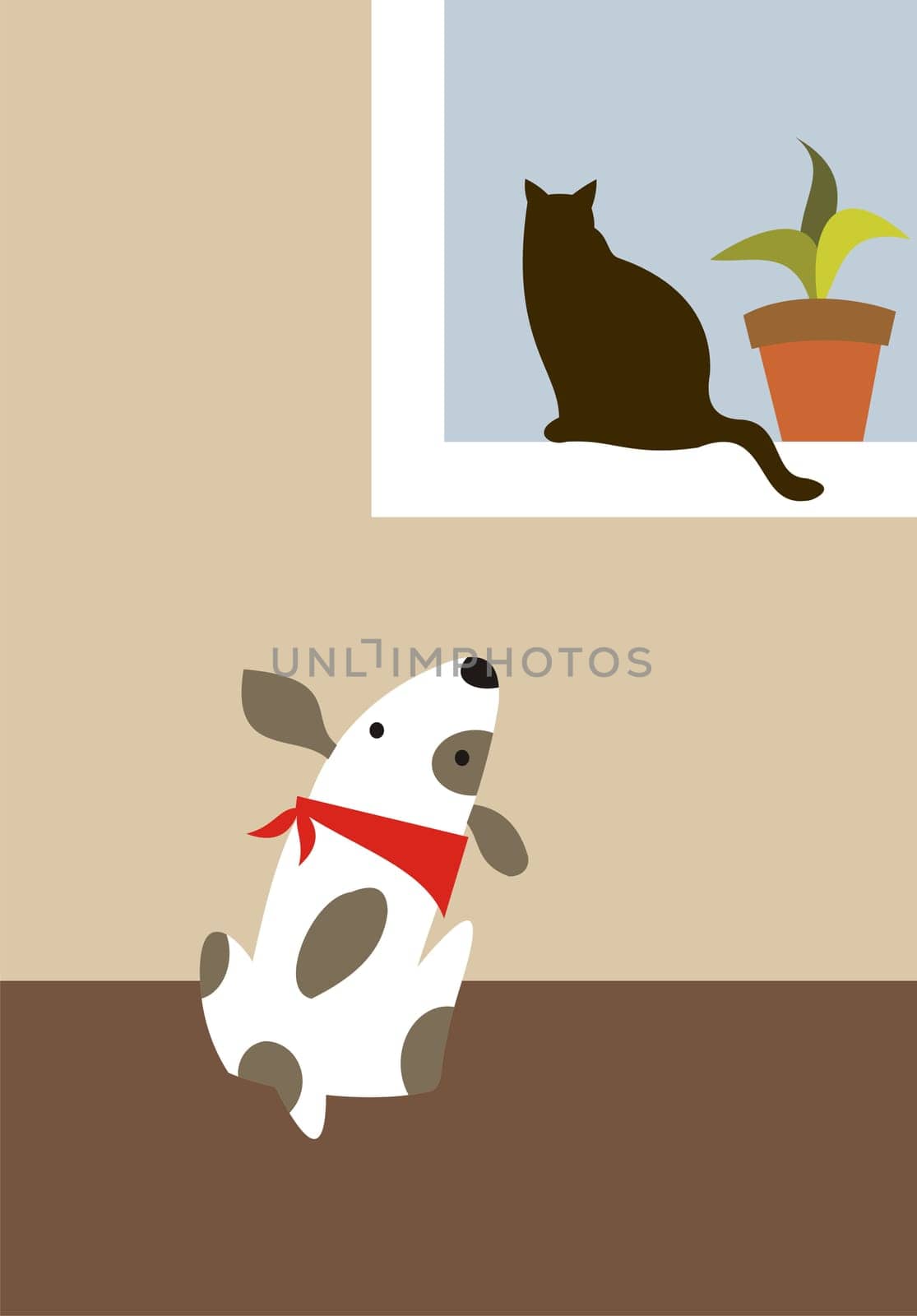 The dog looks at the cat in the window