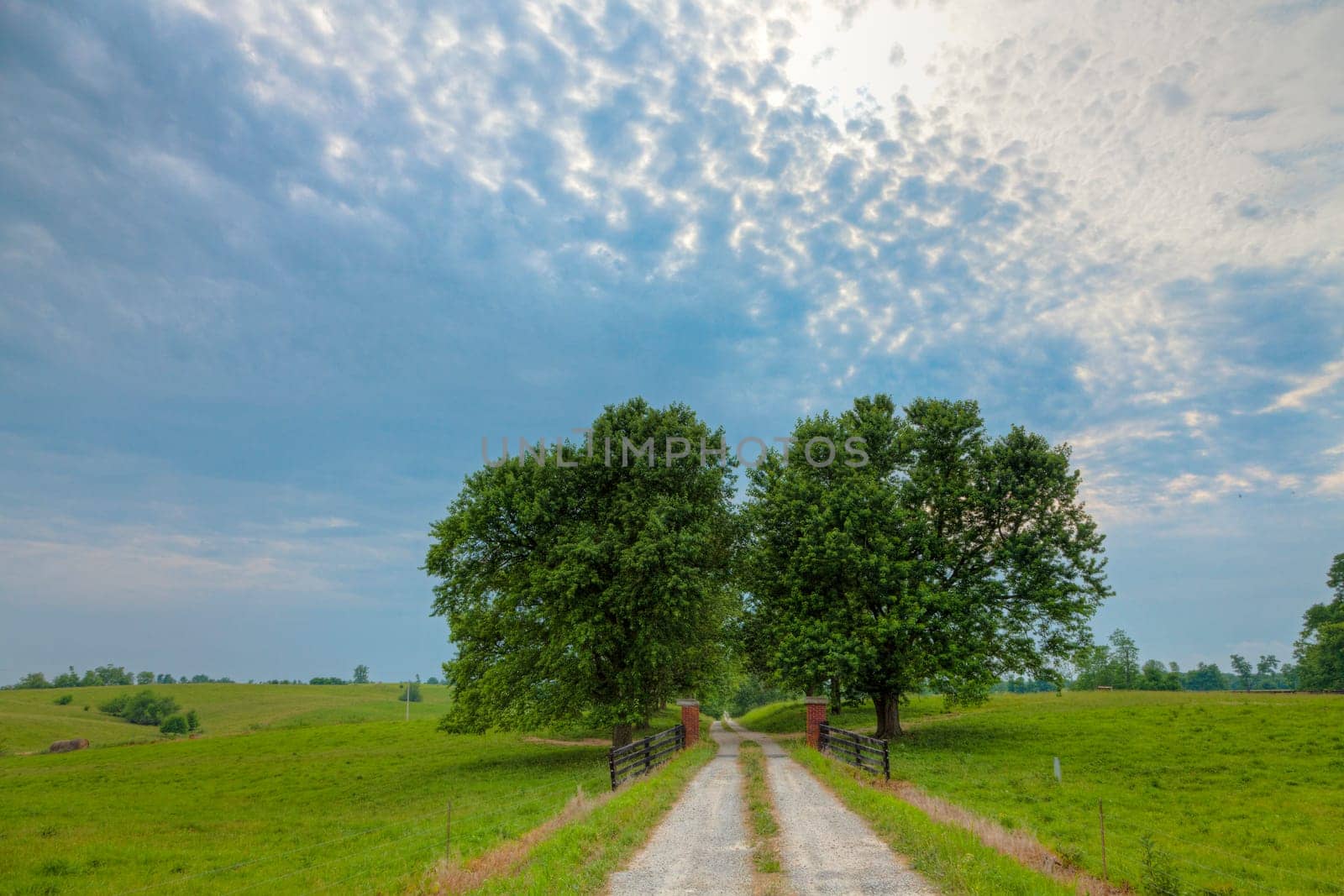 Entrance to a long country driveway lined with old trees