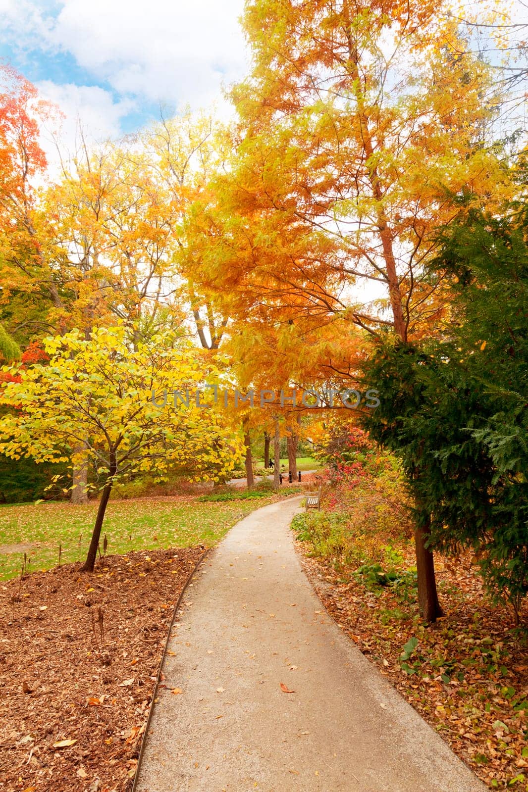 Beautiful fall scenery in the one of the city parks in Indianapolis, Indiana