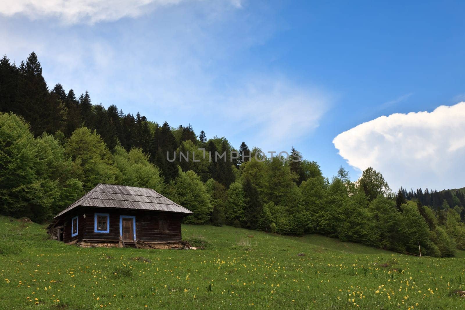 a mountain spring landscape with rustic homes