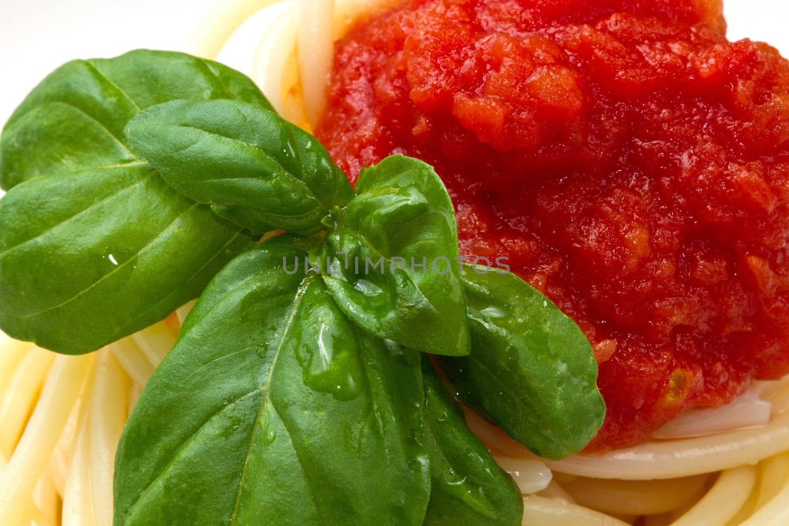 spaghetti with tomato sauce and basil