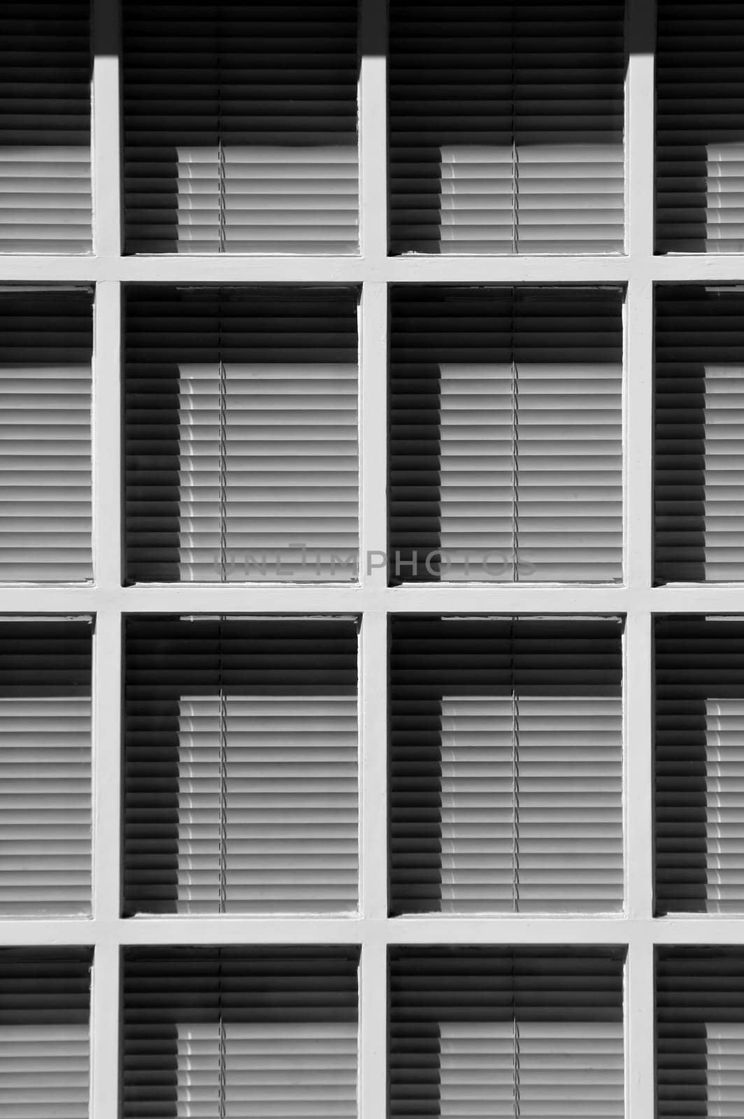 venetian blinds behind white wooden window frames