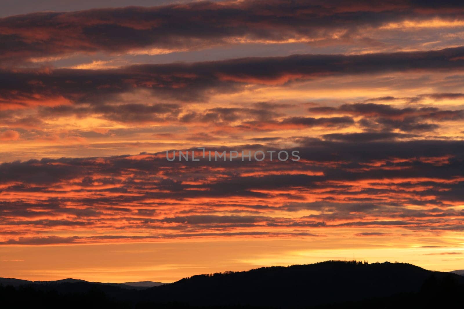 sunset or (sunset beach) or (sunset nature) or (sunset skyline)