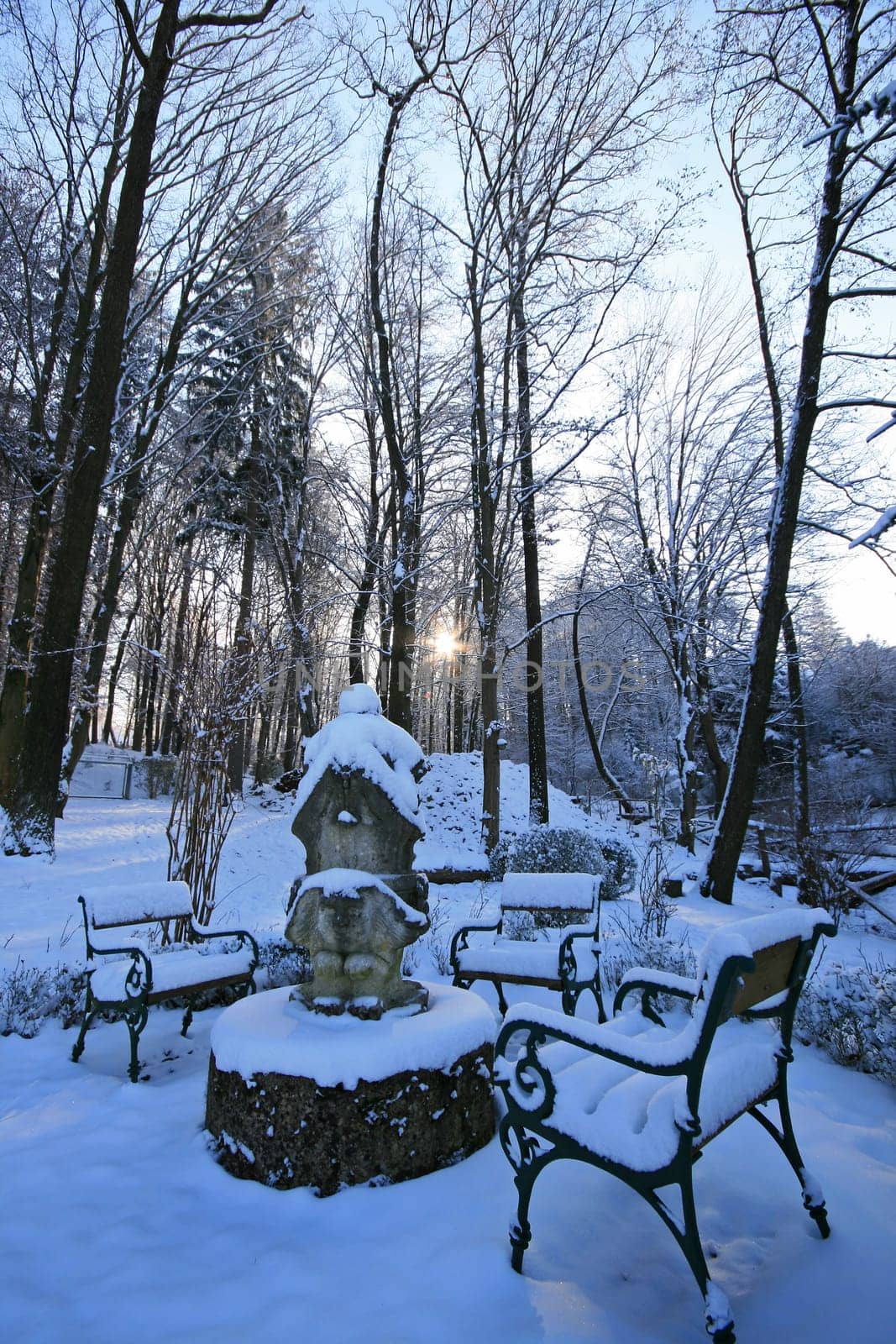 Winter in the park