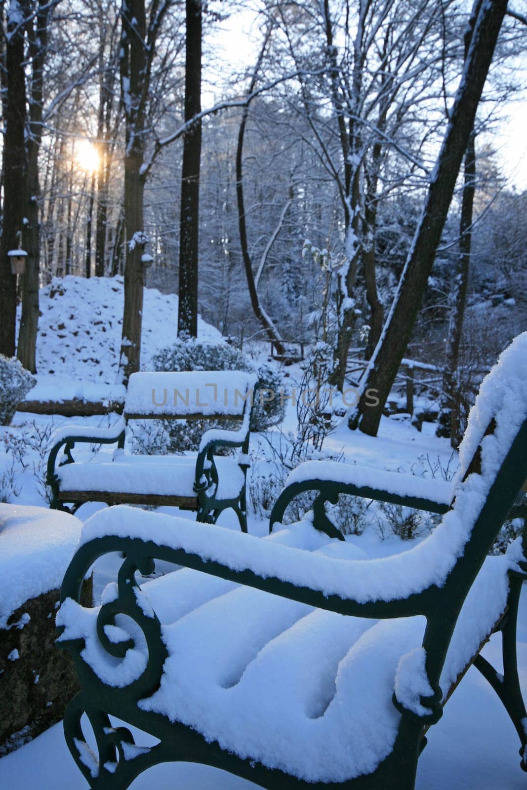 Winter in the park