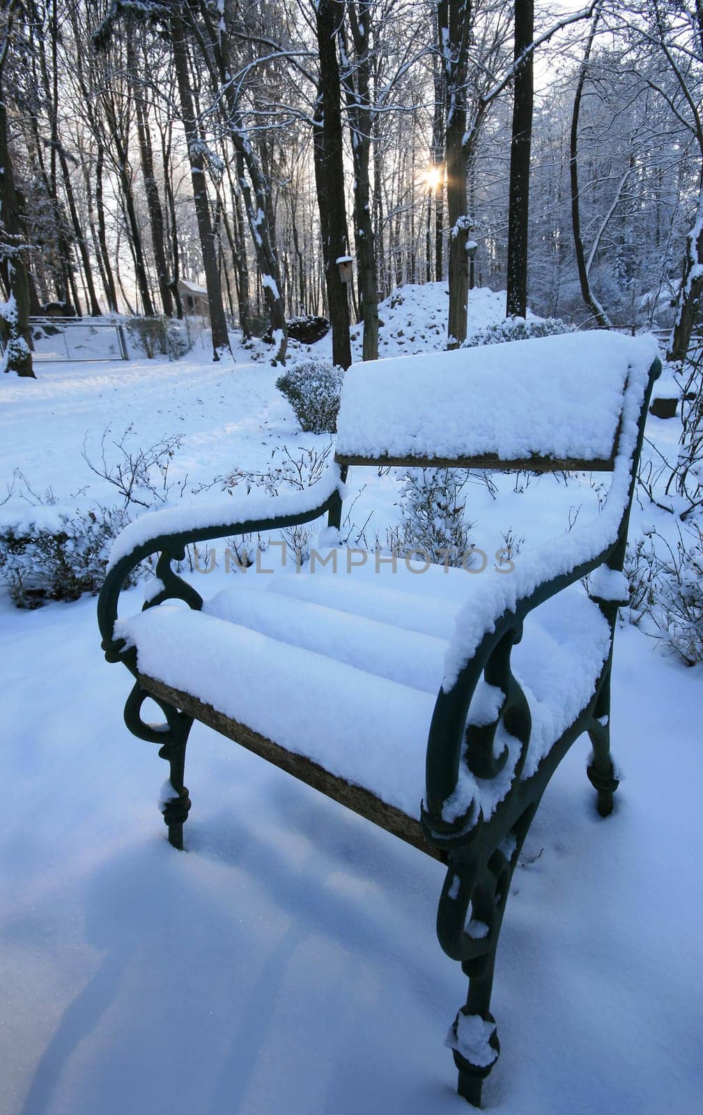 Winter in the park