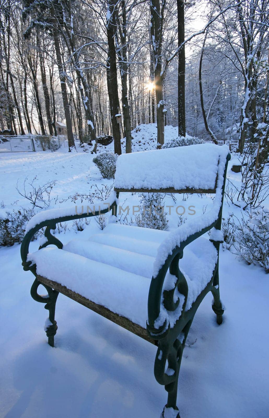 Winter in the park