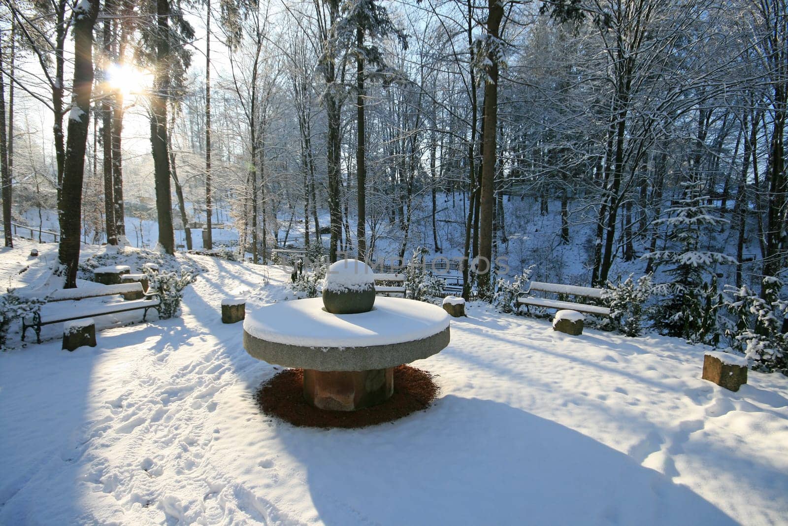 Winter in the park