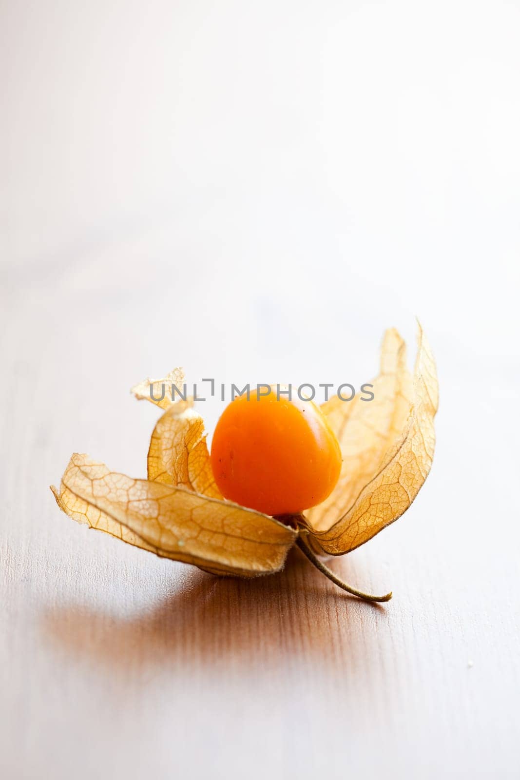 Fresh, delicious and ripe physalis. Studio shot.