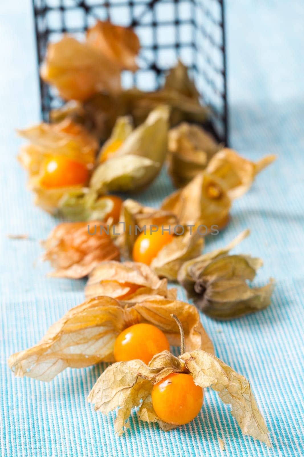 Fresh, delicious and ripe physalis. Studio shot.