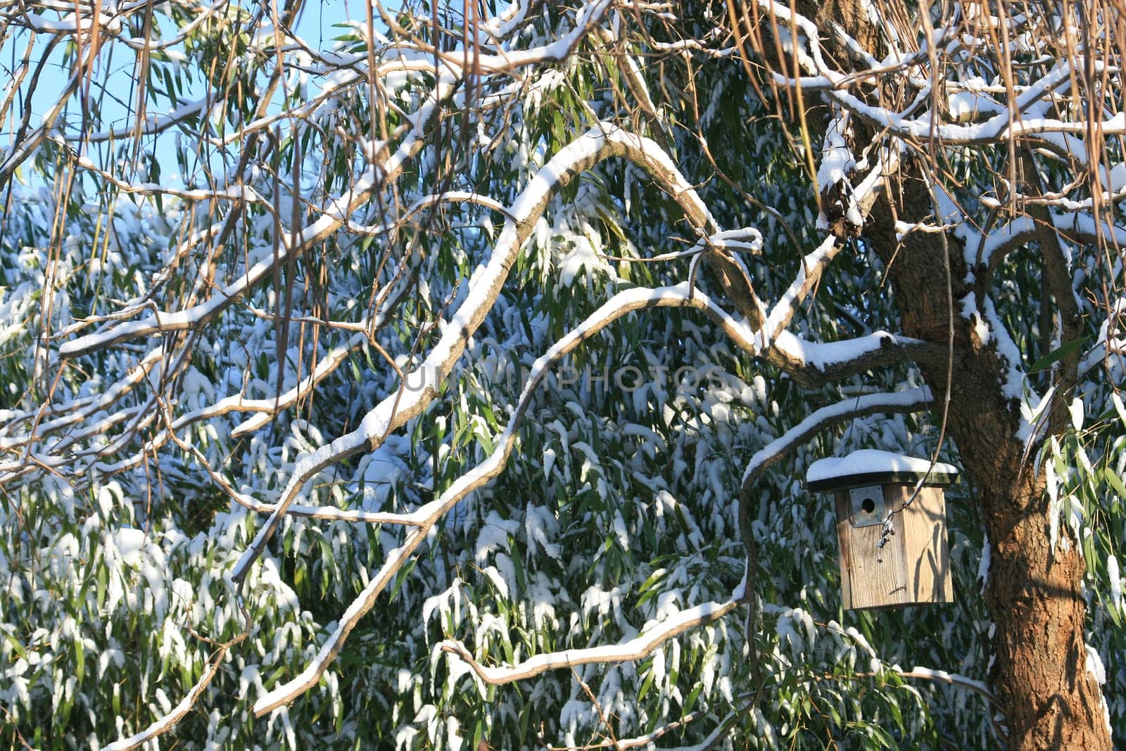 Birdhouse in winter