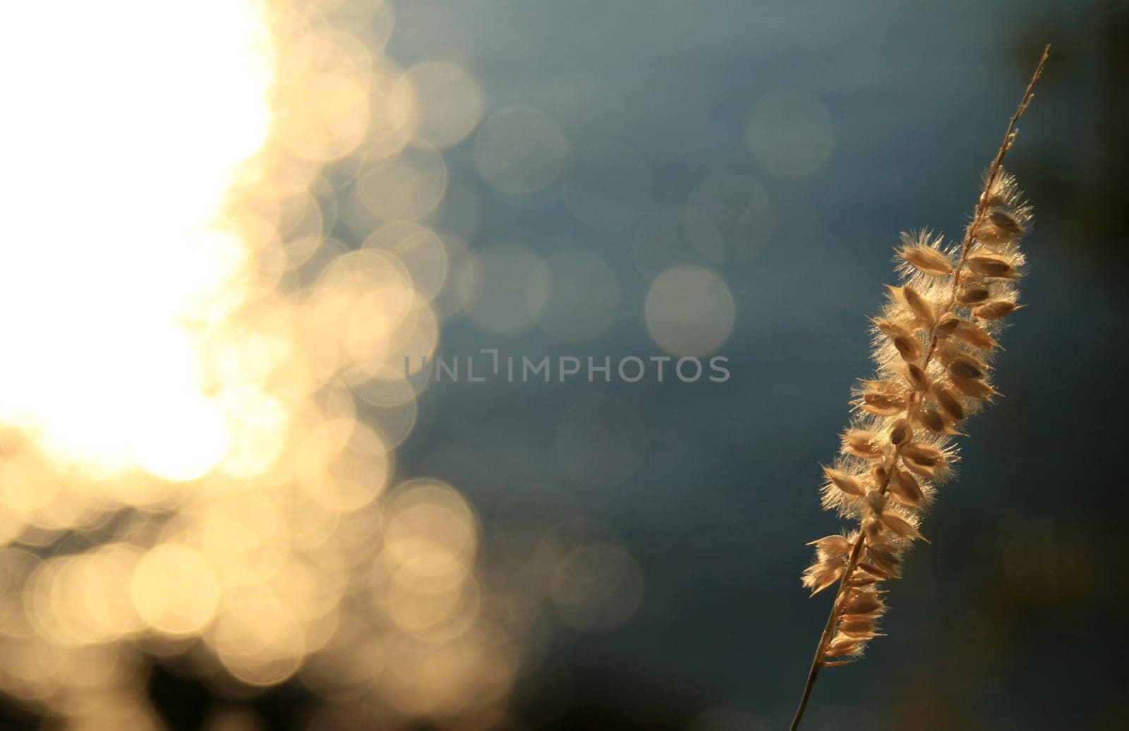 Evening atmosphere by the sea