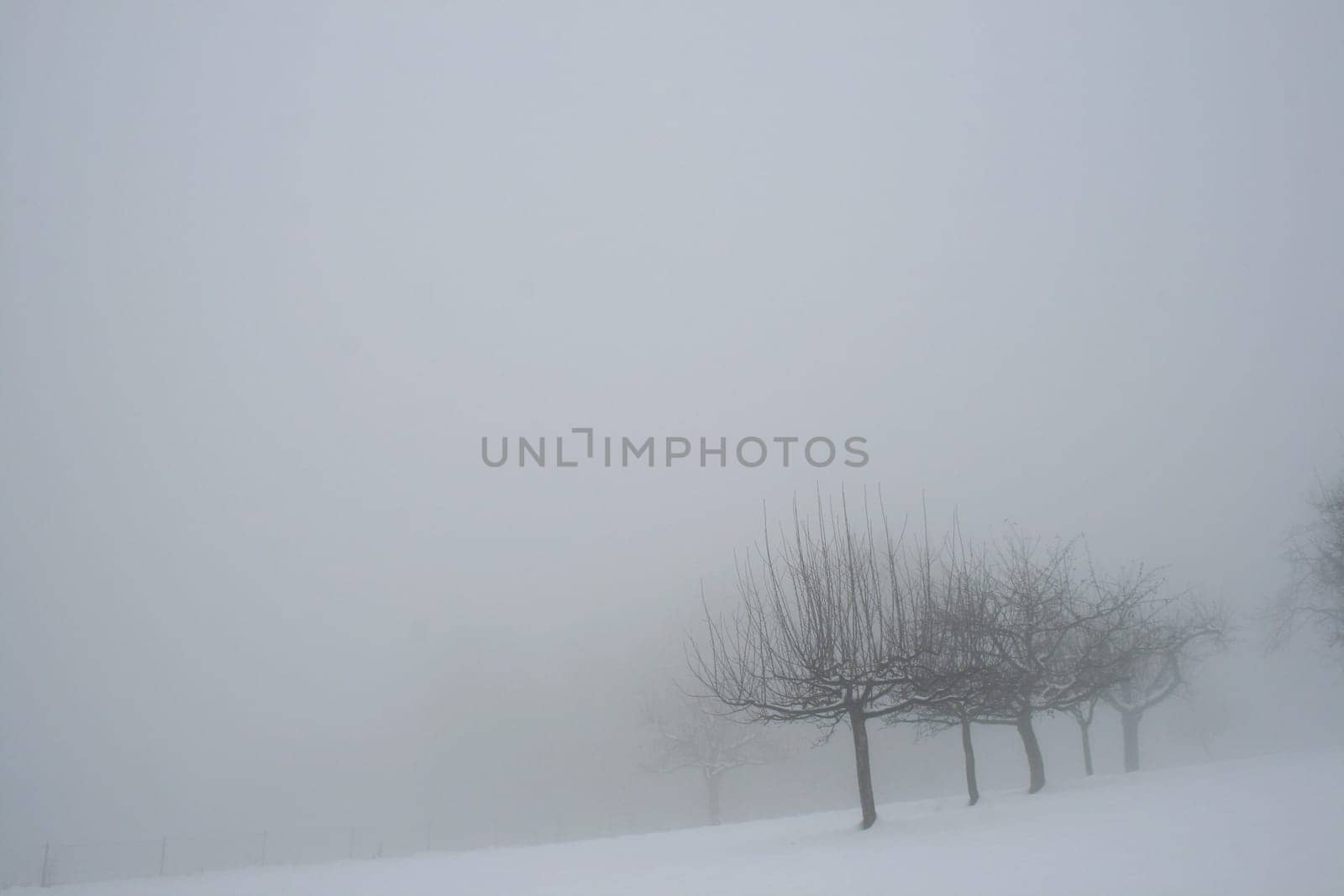 Fog
