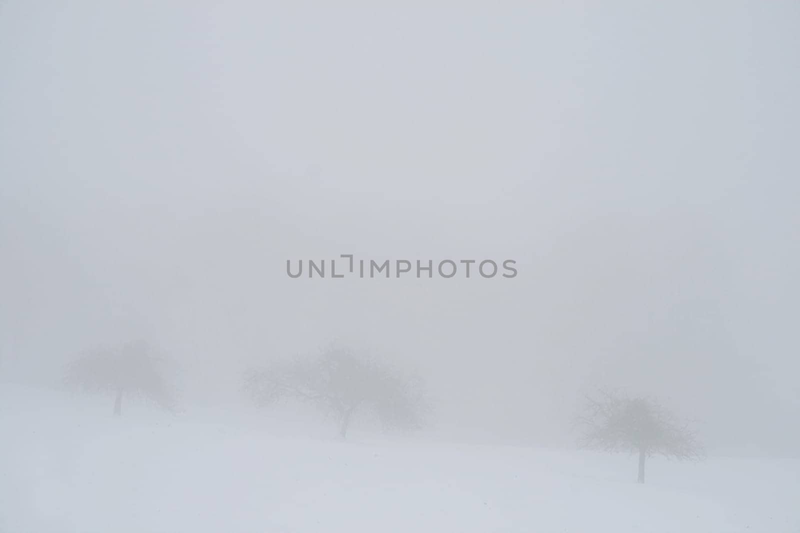 Fog