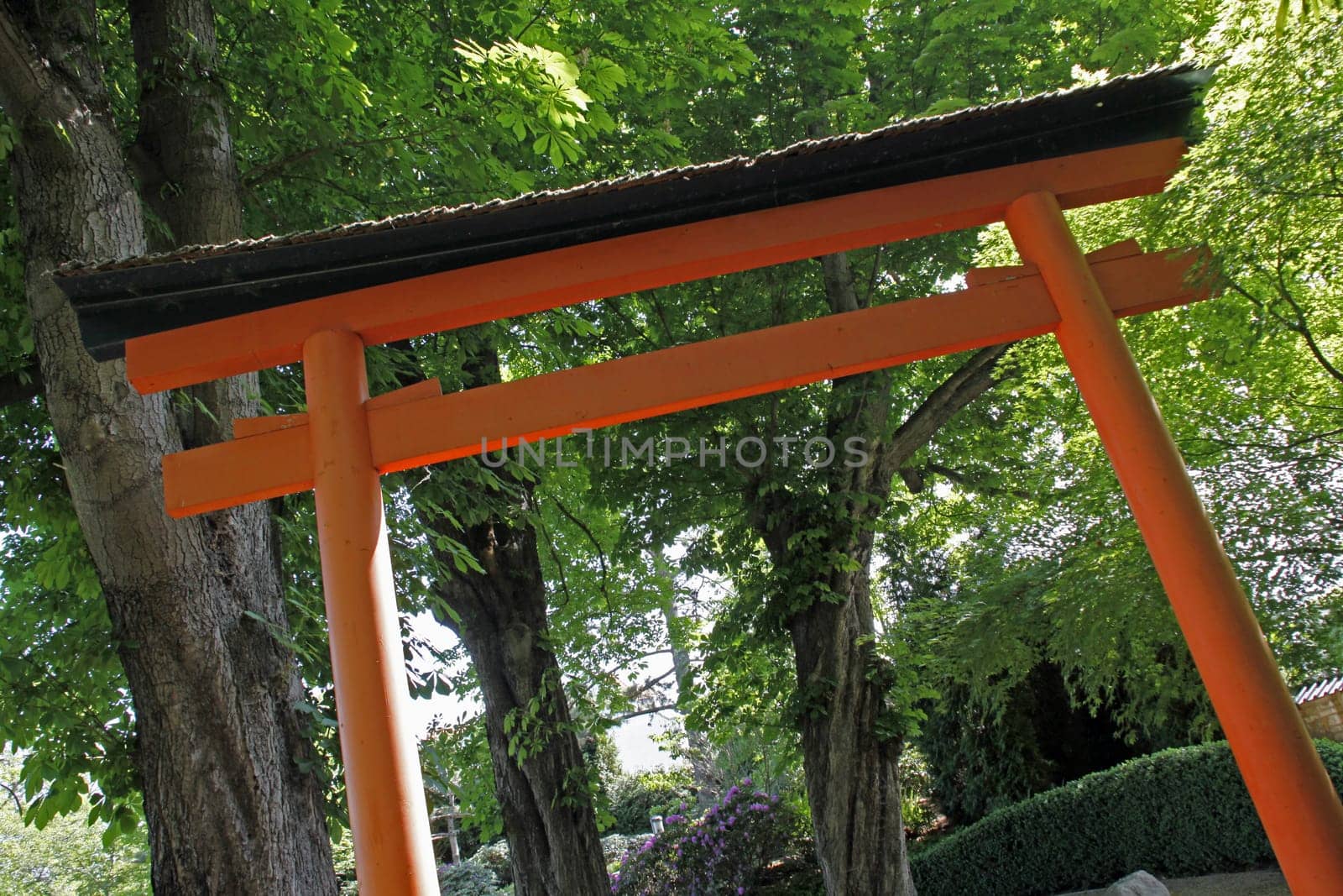 Japanese Garden in Bad Langensalza