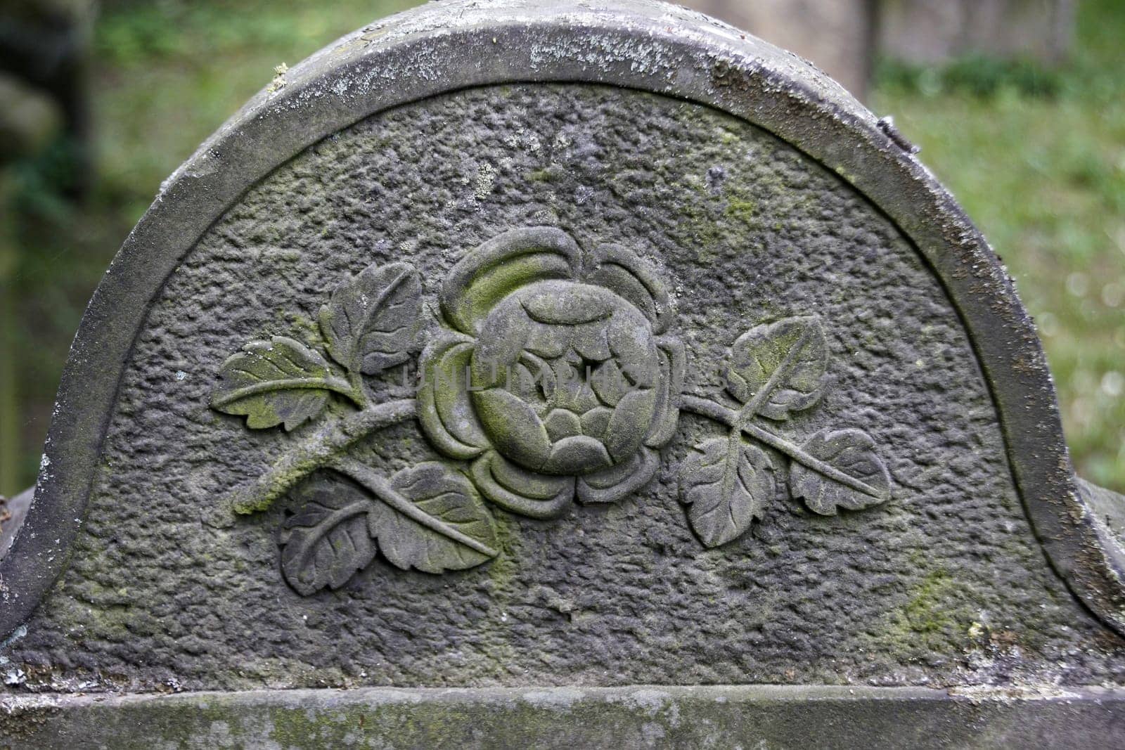Flower on a gravestone