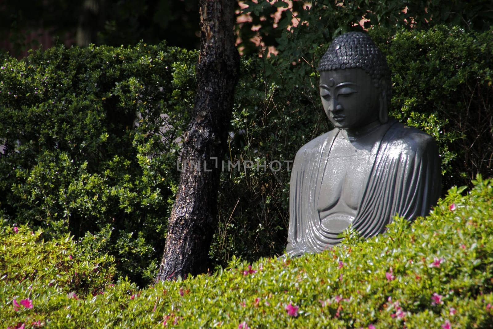 Buddha statue in a Japanese garden
