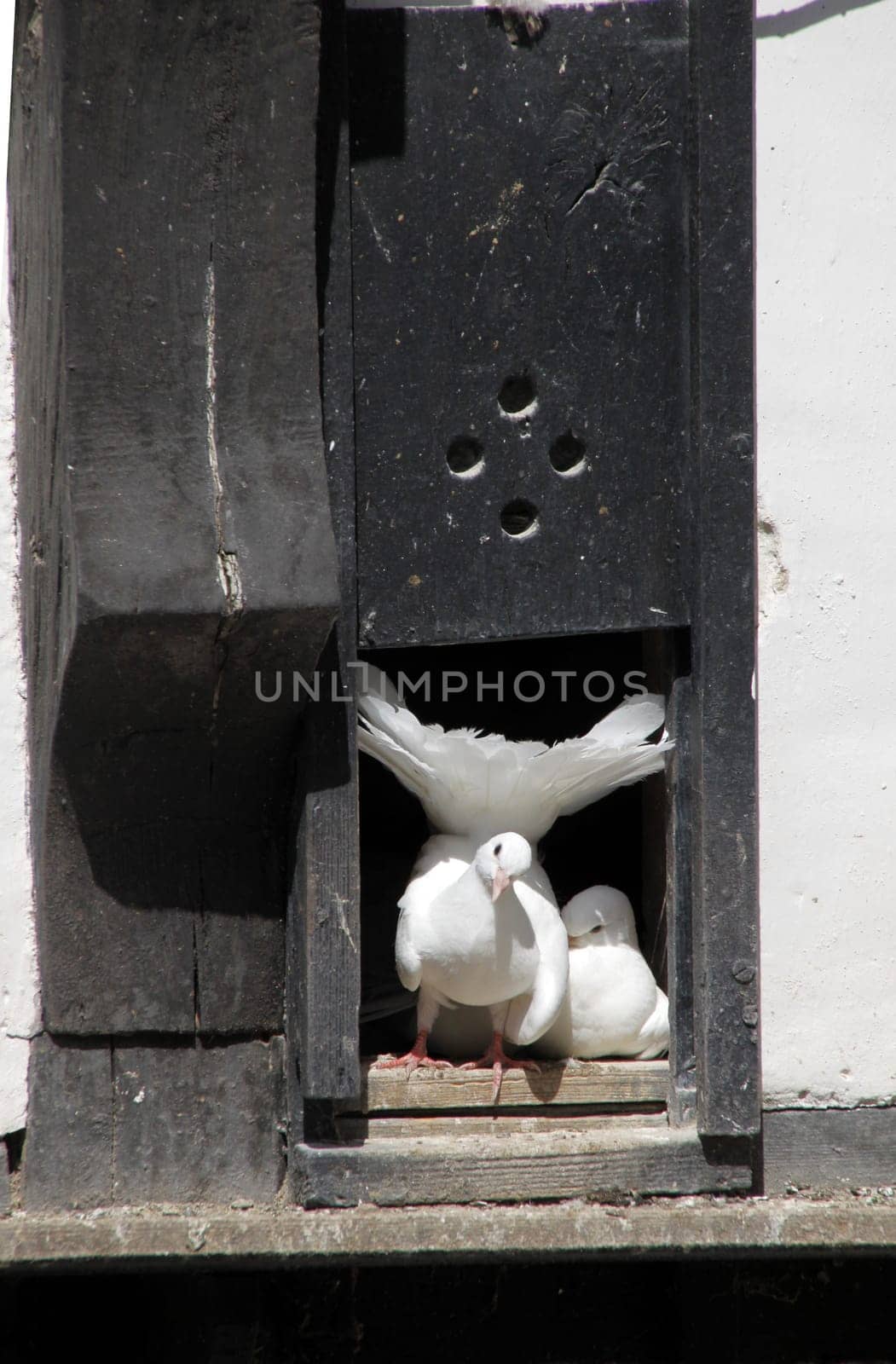 Dovecote