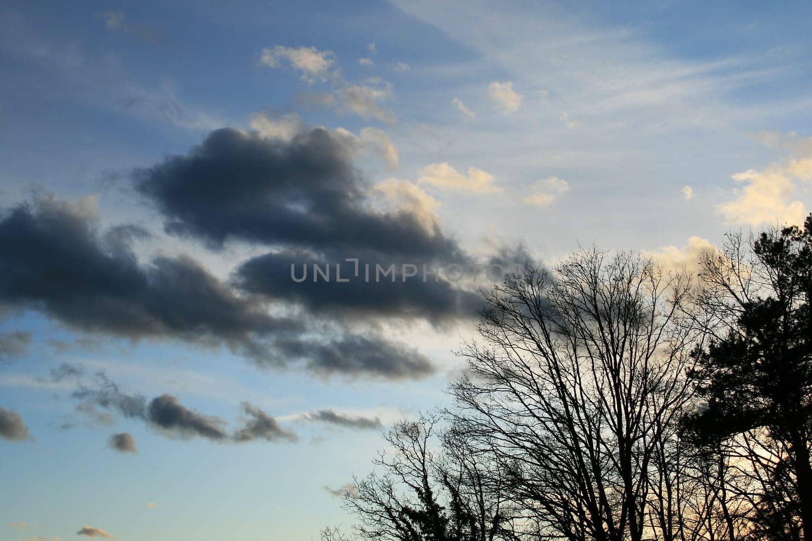 Evening