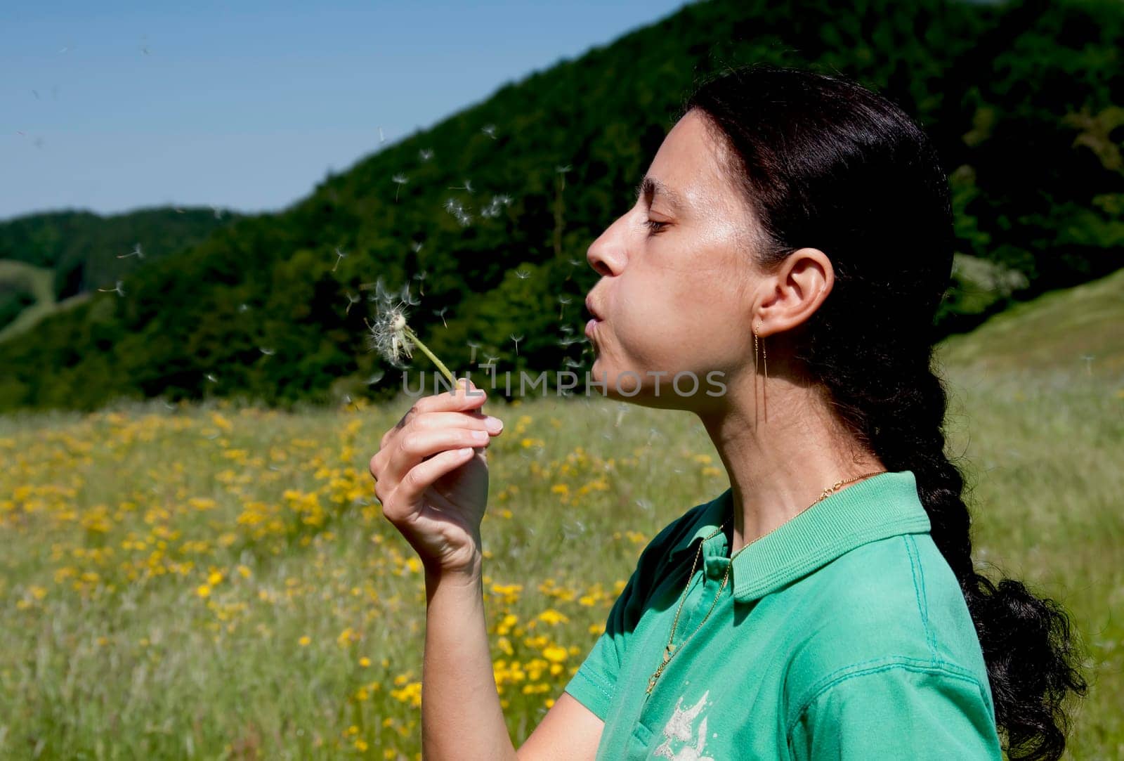 Dandelion I