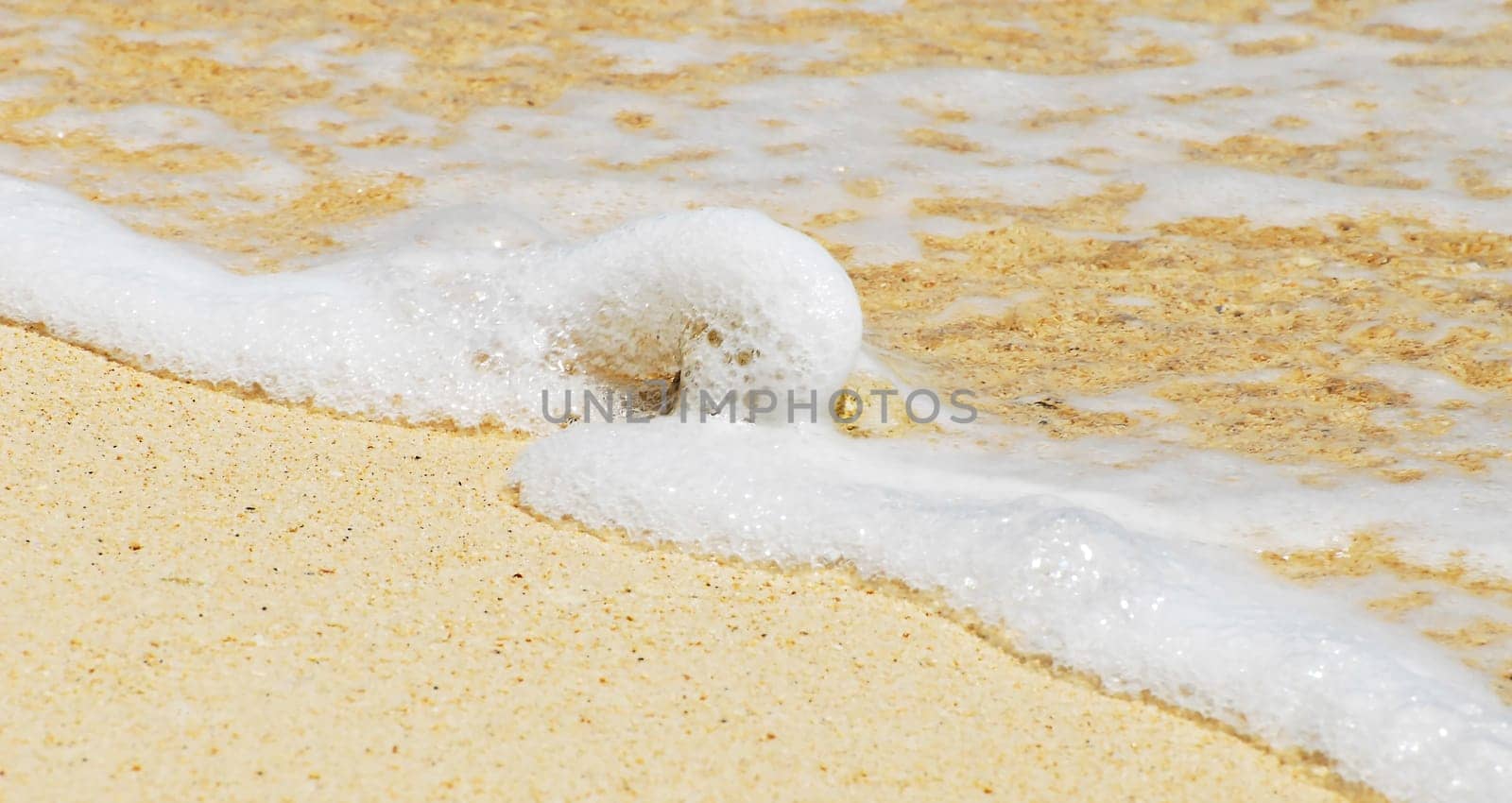 The Little Sea Wave