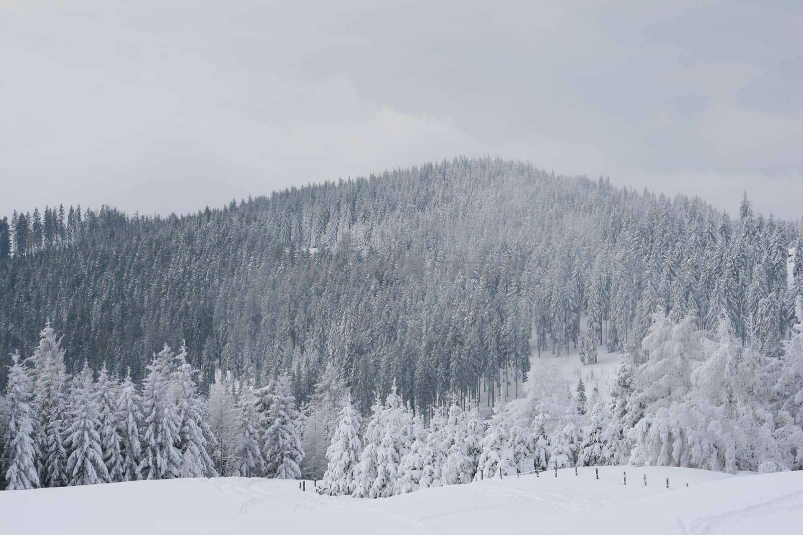 Winter in the Alps