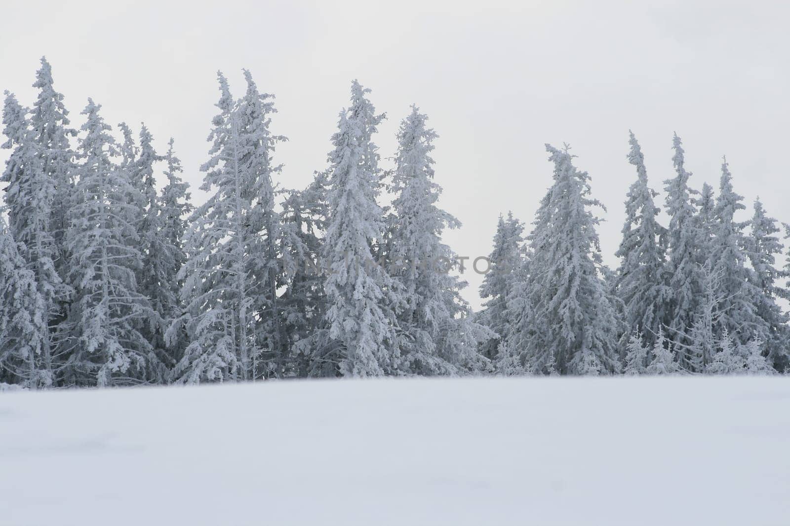 Winter in the Alps