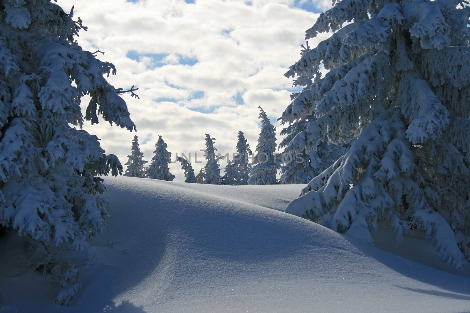 Winter in the Alps