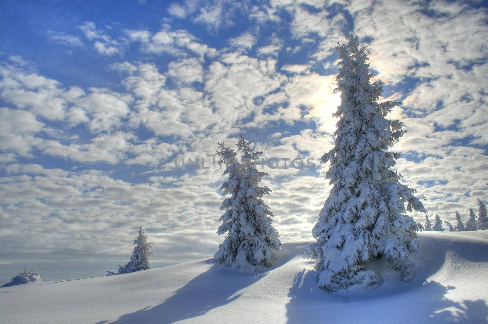 Winter in the Alps