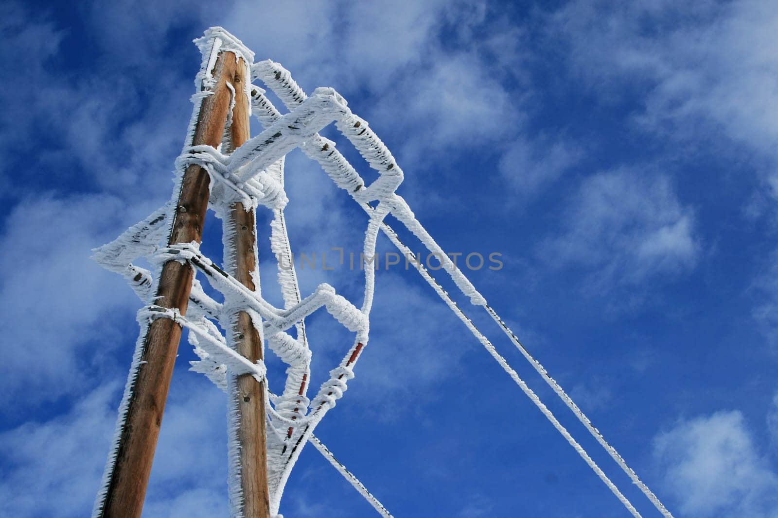Electricity pylons in winter