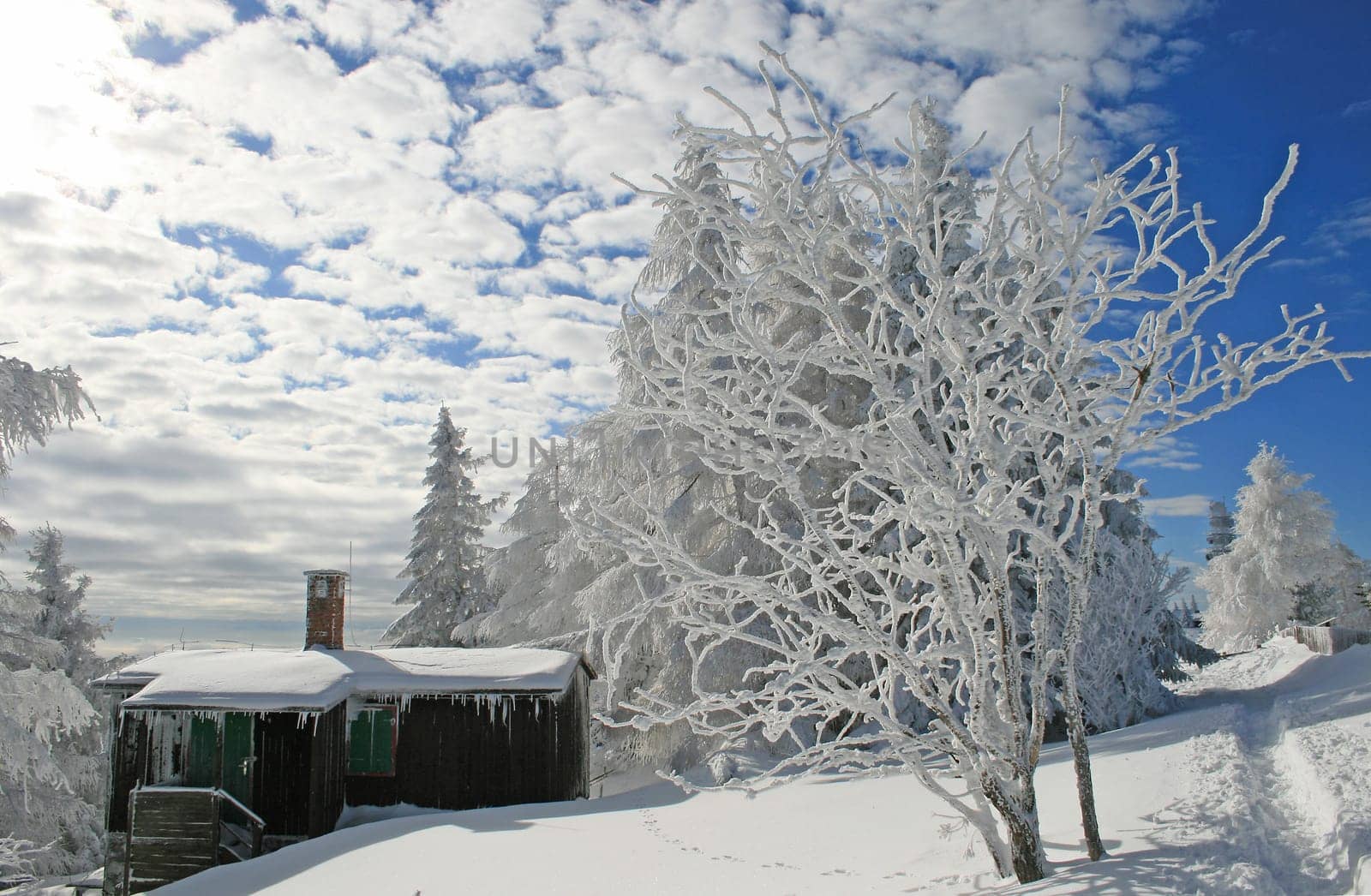 Winter in the Alps