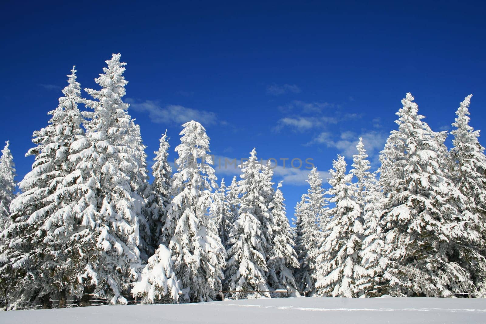 Winter in the Alps