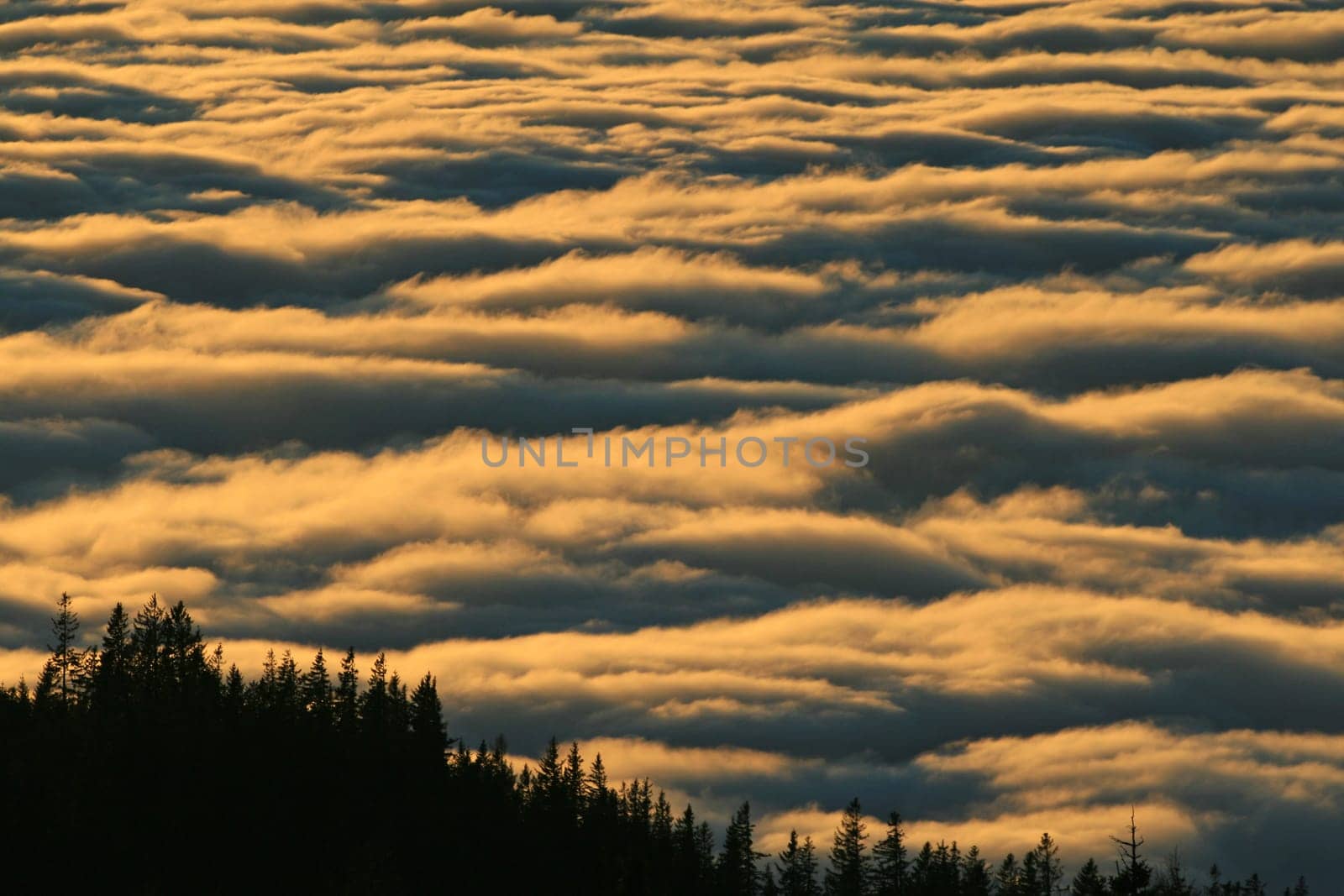Sunset in the Alps