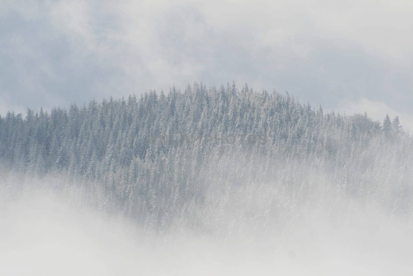 Winter in the Alps