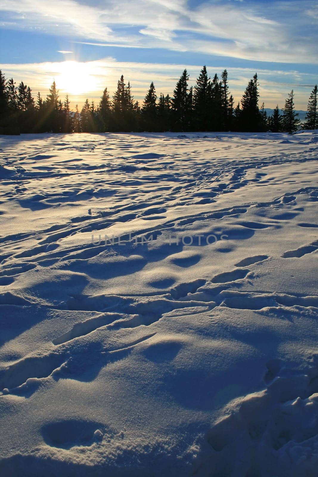 Winders in the Alps