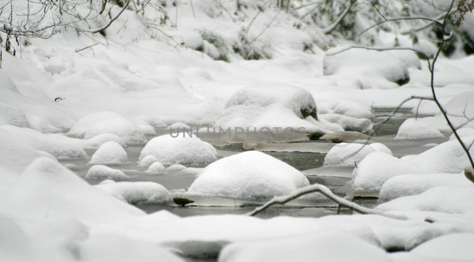 winter or winter snow or winter ice or winter deep snow