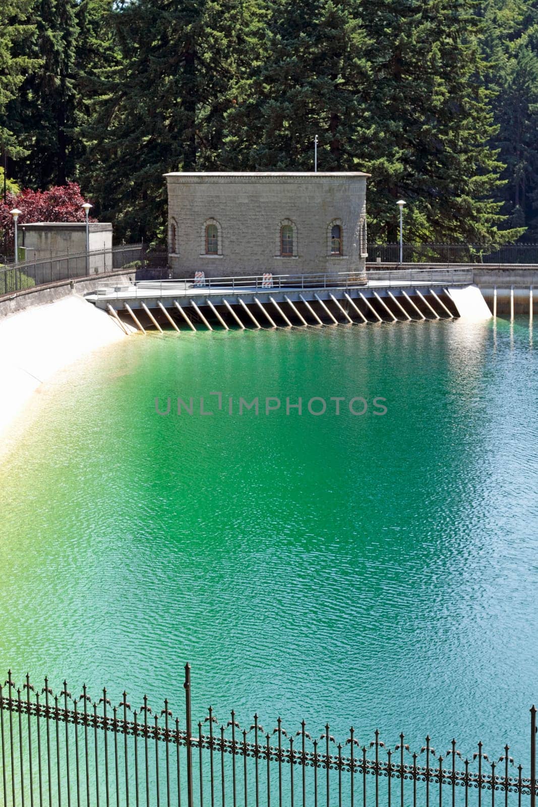 Green blue water outdoor man-made reservoir surrounded by a metal fence near evergreen trees on a sunny day.